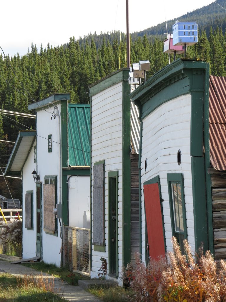 Carcross town site