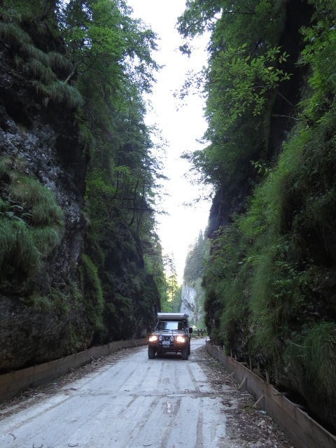 Gorge Drive in Apuseni National park