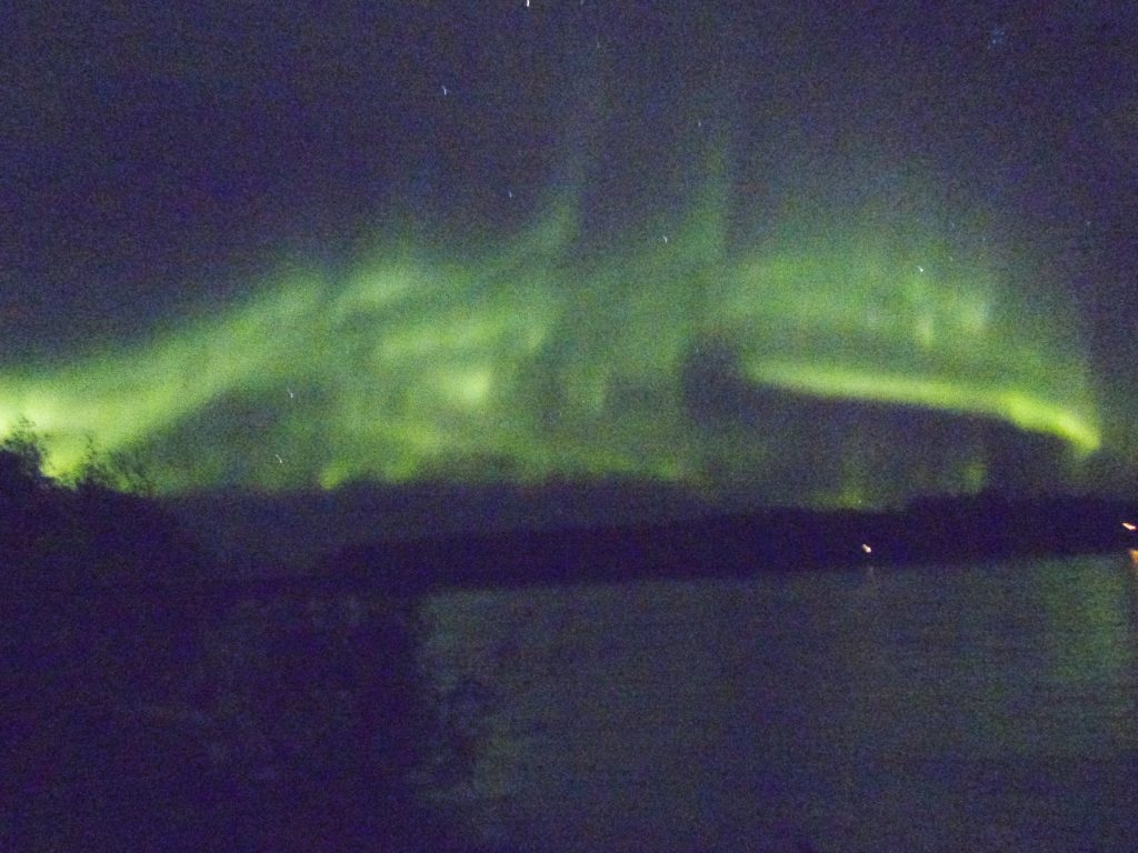 The Aurora as best as my happy snap could get it