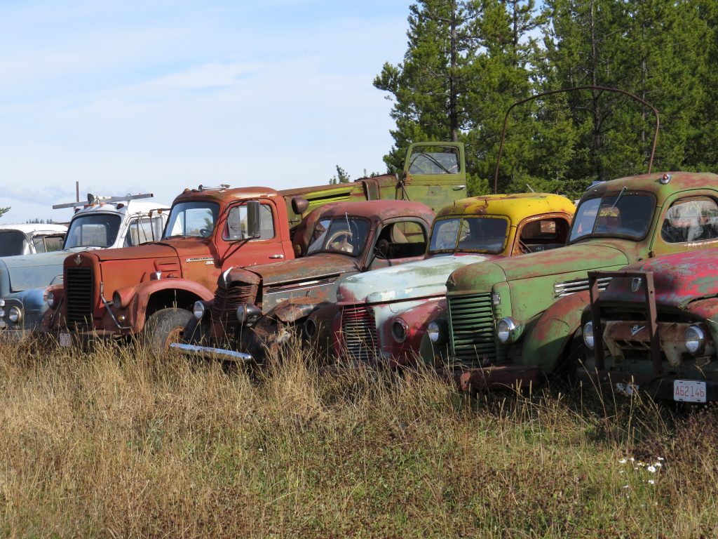 Old truck graveyard