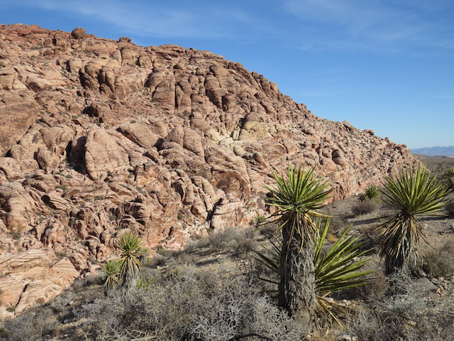 More Red Rock Canyon